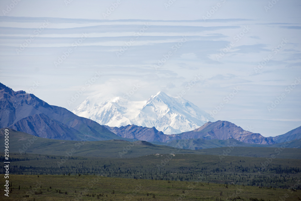 Fototapeta premium Denali National Park Green Transit Bus Tour 