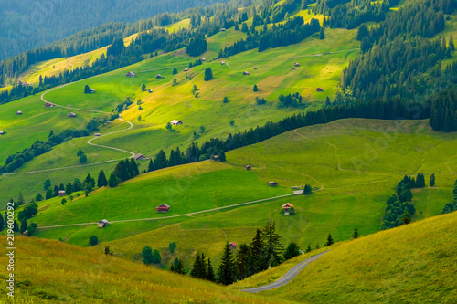 Summer landscape of Switzerland rural country side  near Habkern village