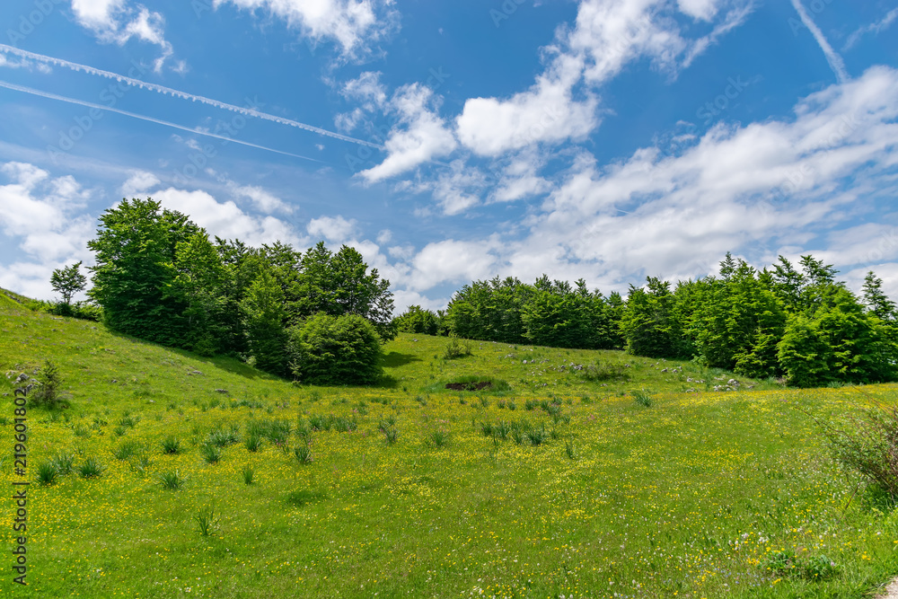 Fototapeta premium Beautiful green meadows stretched among the picturesque mountains.