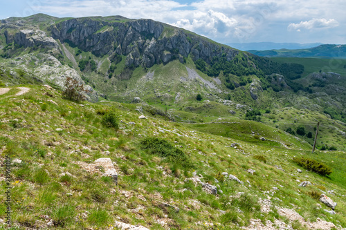 Beautiful green meadows stretched among the picturesque mountains.
