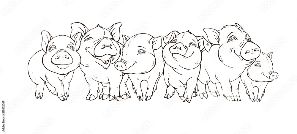 friendly company of cute pigs