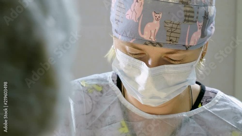 The procedure of castration. Veterinary surgeon operating a cat in a veterinary clinic. 4K