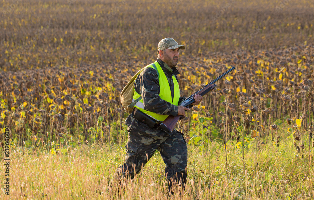 Hunter with a German trotter and spaniel, hunting a pheasant with dogs Hunter with a German trotter and spaniel, hunting a pheasant with dogs