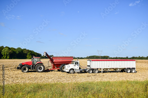 Tractor emptying its load of harvested corn