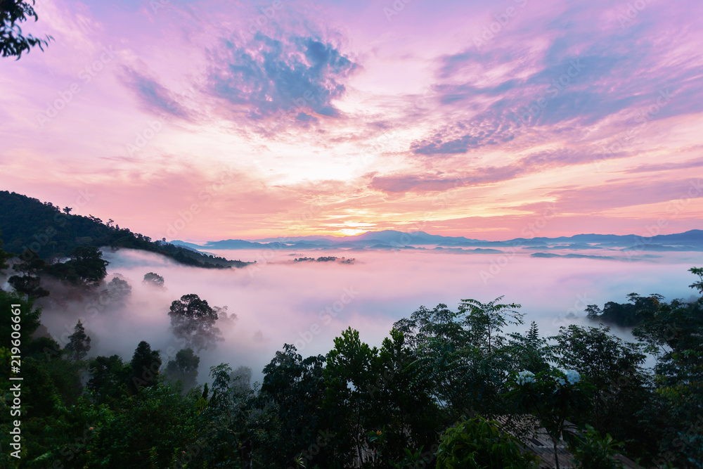 Beautiful sunrise or sunset with fog flowing in the mountain beautiful landscape scenery view in phang nga thailand