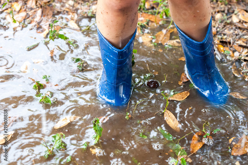 Legs of child wearing pair of blue rubber boots in water puddle with grass and leaves photo