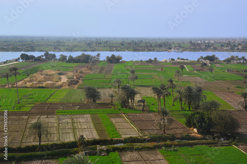 Agriculture by the Nile river Upper Egypt