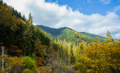 Beautiful mountains and forests near Jiuzhaigou in western Sichuan, China in summer