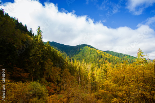 Beautiful mountains and forests near Jiuzhaigou in western Sichuan, China in summer