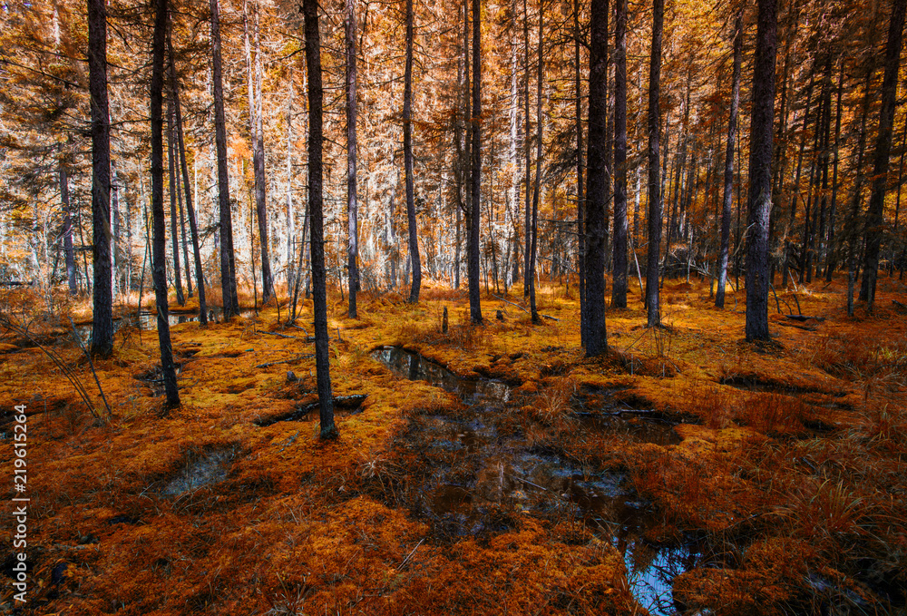 Obraz premium Beautiful scenery near Jiuzhaigou, western Sichuan, China