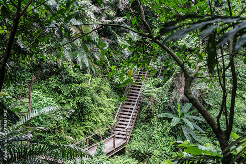 Beautiful tropical trail in Maolin Scenic Area in Southern Taiwan photo