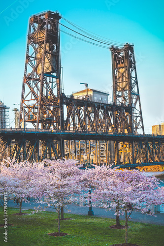 Steel Bridge Portland, OR Cherry Blossom Trees in Spring Nice Background