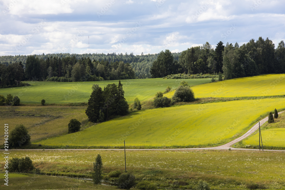 Fototapeta premium Finnish summer landscape with a colorful field and the sky and sandy road. 