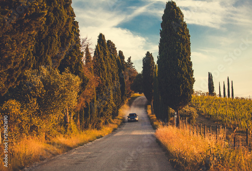 Typical Tuscany road along cypresses and vineyards photo