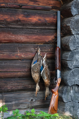 hunting trophy - two ducks and shotgun
