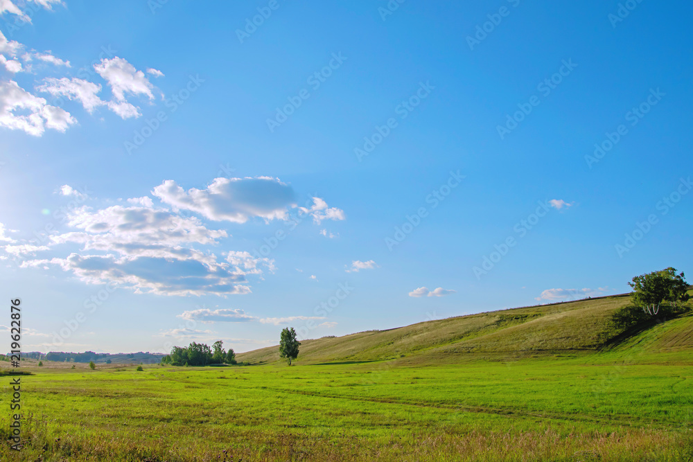 beautiful blue sky and trees in the fields