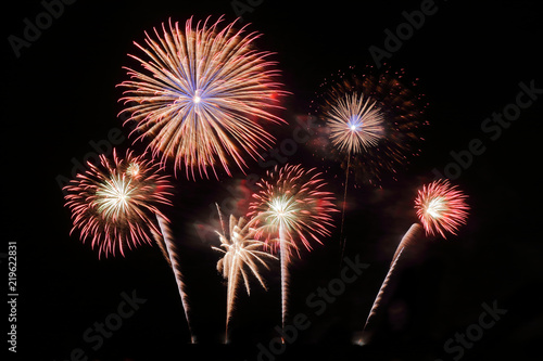 Festive colorful fireworks on night sky background. Celebratory holiday