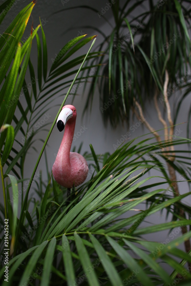 Obraz premium Flamingo