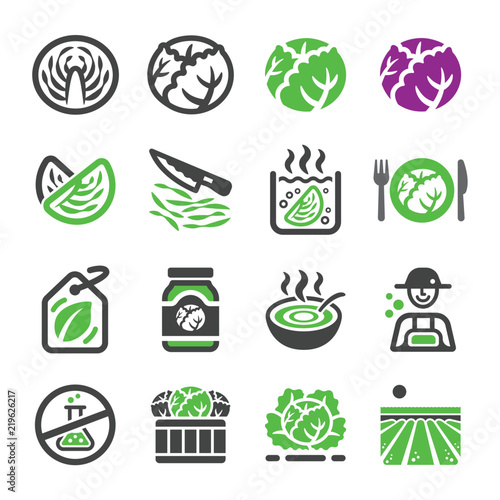 cabbage icon set