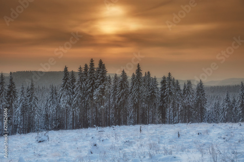 Winterabend im Harz Nationalpark,Niedersachsen und Sachsen-Anhalt,Deutschland