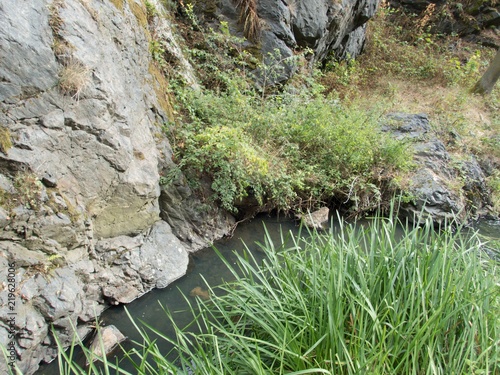 small stream in divoka sarka park in prague photo