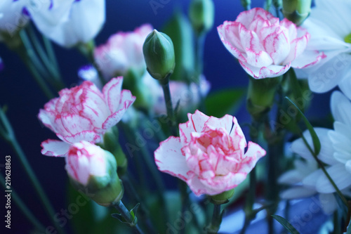 pink and white flowers