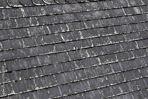 Roof. Texture of tile. 