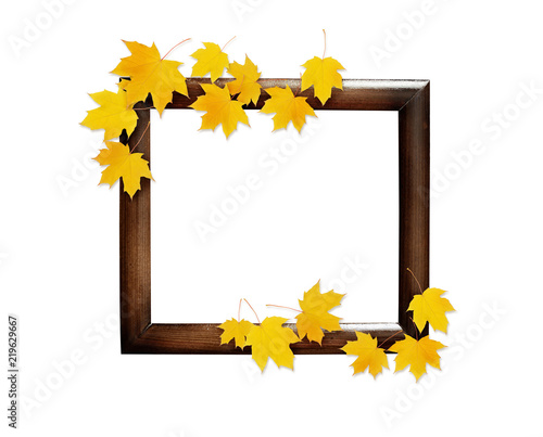 Autumn maple twig with yell...