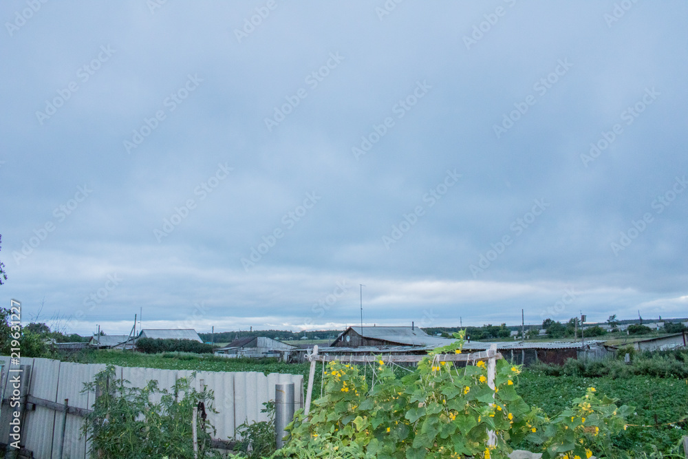 Obraz premium Village. Rural. Outskirts of the village with houses and gardens. The village before the rain.