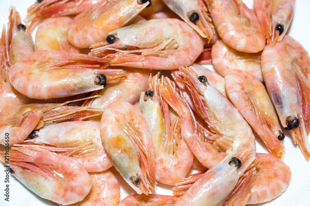 Many cooked shrimps are laid out on a white plate. They are ready for consumption.