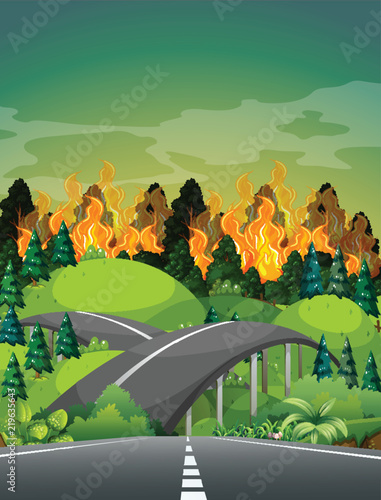 Road near wildfire forest