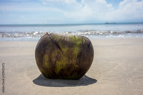 coconut on sand beach with ocean background