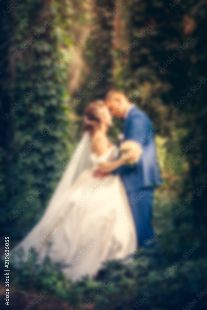 blurred, soft focus couple in love in green forest (wedding concept)