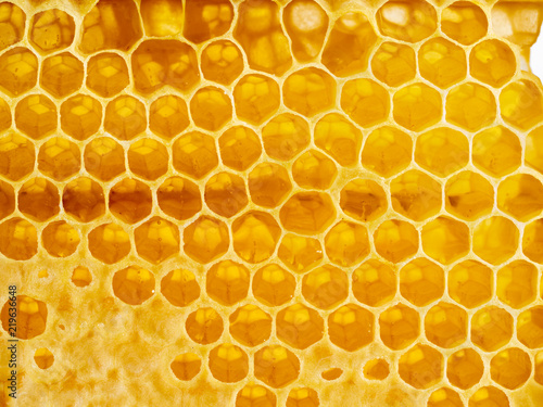 The honey in honeycomb, close-up, macro, top view