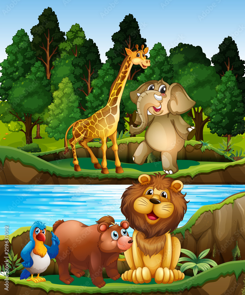 Fototapeta premium Wild animals at the river