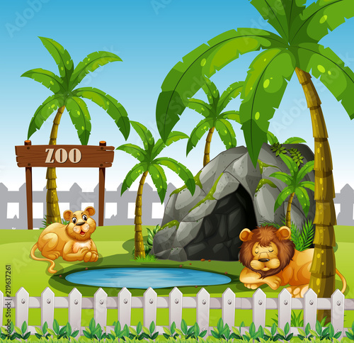 Male and female lion in the zoo