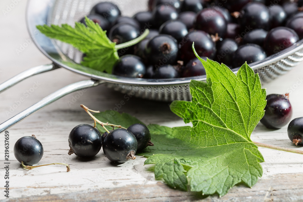 Small colander with fresh black currant and original leaves on wooden background. Small colander with fresh black currant and original leaves on wooden background.