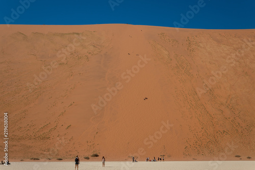 The Big Daddy dune in the Namib desert