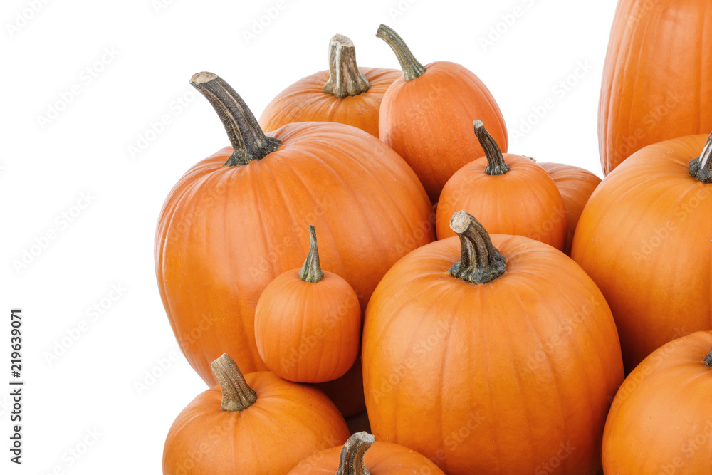 Many orange pumpkins Many orange pumpkins