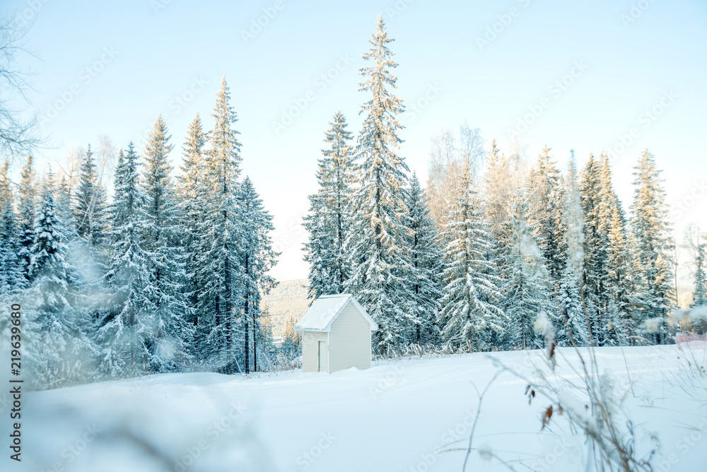 Snow-covered trees on a Sunny winter day in the ski resort, winter forest in the mountains Snow-covered trees on a Sunny winter day in the ski resort, winter forest in the mountains