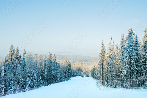 Snow-covered trees on a Sunny winter day in the ski resort, winter forest in the mountains © malykalexa777