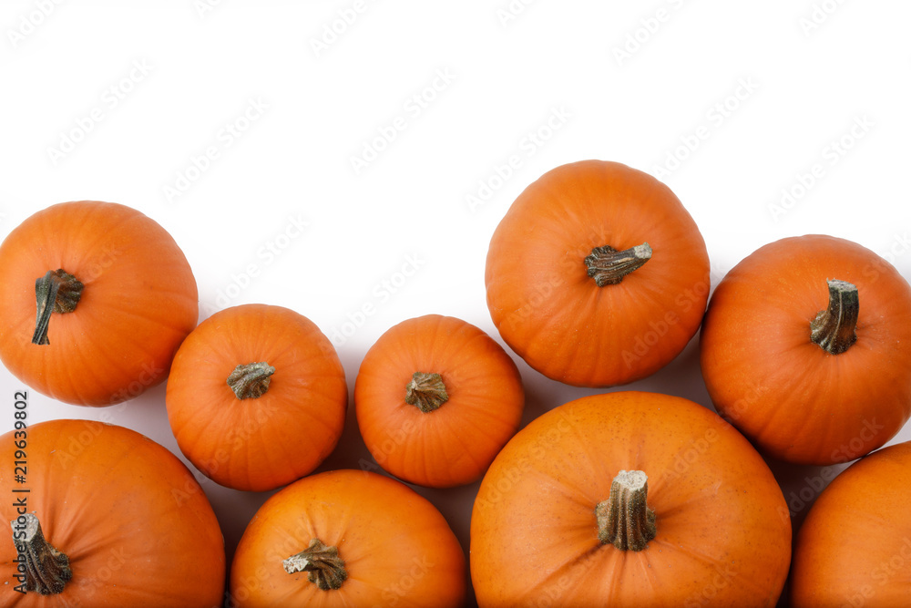 Many orange pumpkins Many orange pumpkins