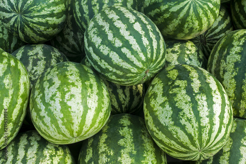 Pile of striped green watermelons close-up. Nature background