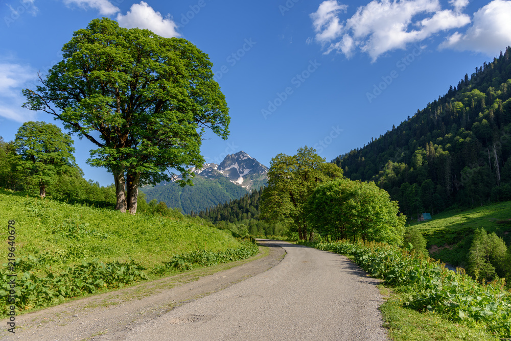 Mountain road between the mountains meadows, high in the mountains. Mountain landscape. Mountain road between the mountains meadows, high in the mountains. Mountain landscape.