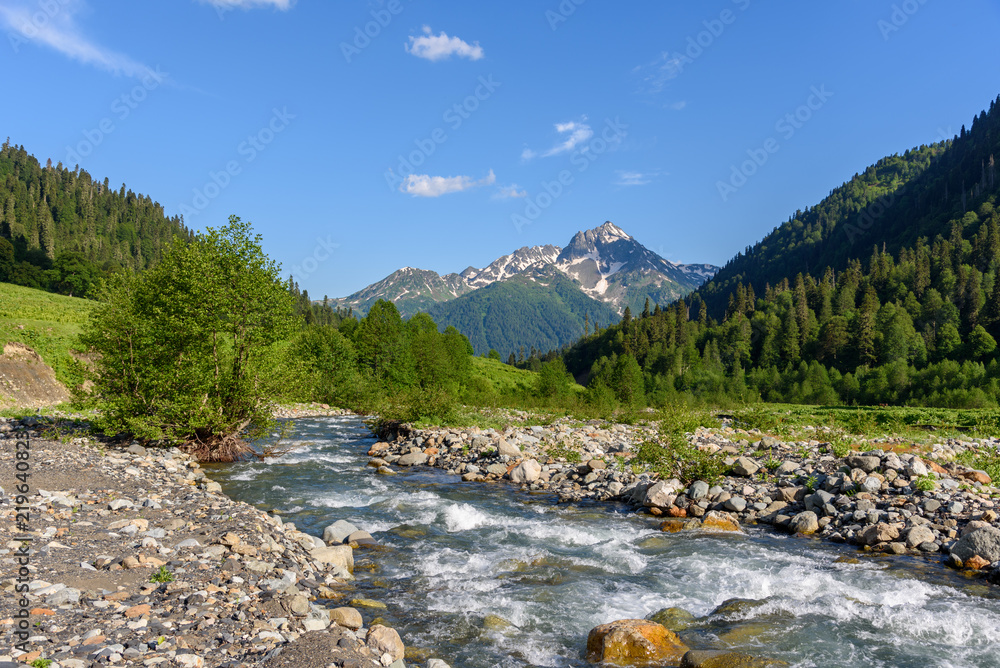Fast mountain river among mountain meadows. Stream of a mountain river. Mountain plateau in Abkhazia Fast mountain river among mountain meadows. Stream of a mountain river. Mountain plateau in Abkhazia