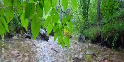 02_rain forest_VR360