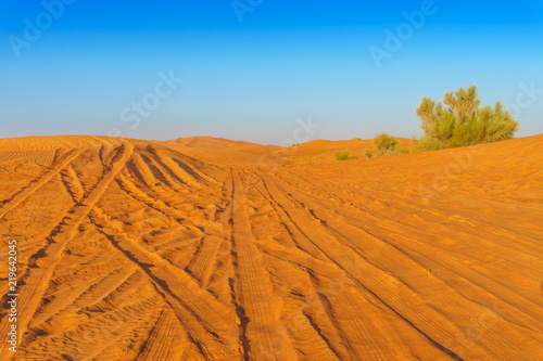 Desert Yellow Sand Dunes Landscape with Tire Tracks