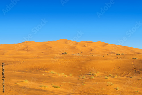 Desert Yellow Sand Dunes Landscape