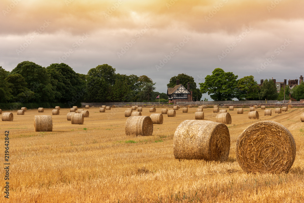 UK Straw bales in evening light