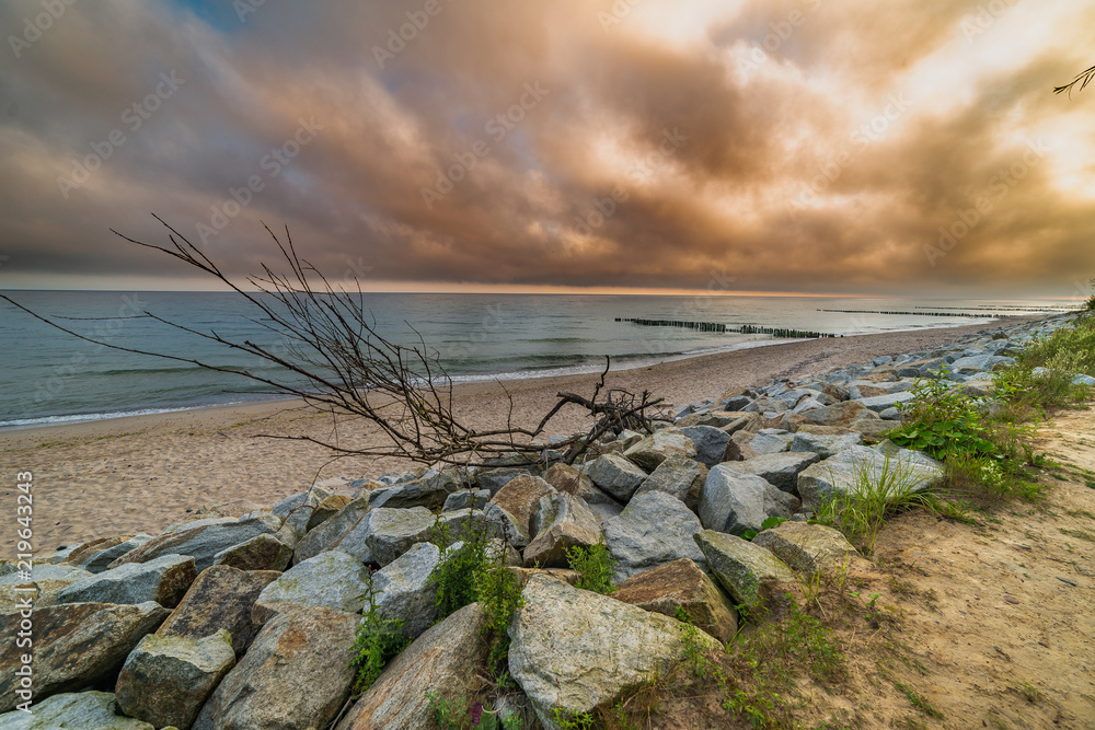 Fototapeta premium landscape by the sea, wood, stones, sand, waves